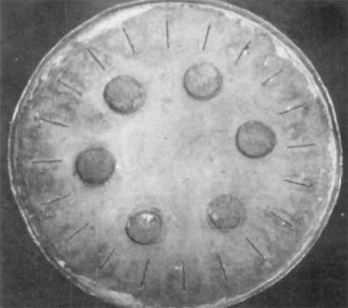 連鑄用功能耐火材料的現(xiàn)狀及發(fā)展趨勢(shì)